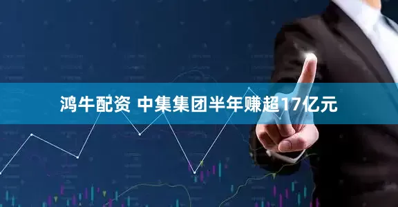 鸿牛配资 中集集团半年赚超17亿元